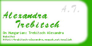 alexandra trebitsch business card